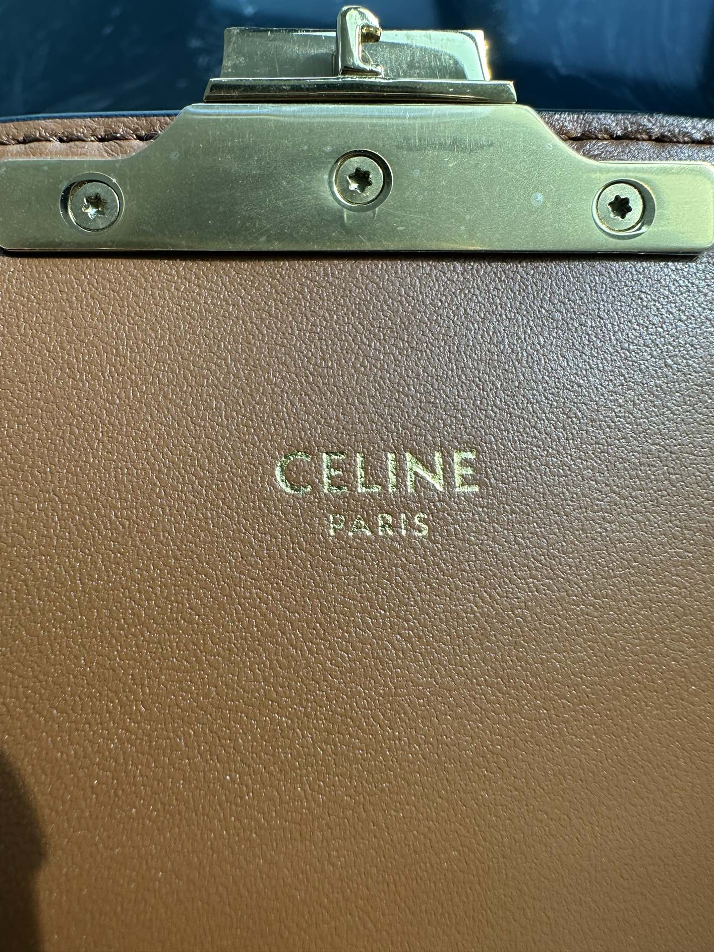 CELINE CLASSIQUE TRIOMPHE BAG IN TRIOMPHE CANVAS AND CALFSKIN