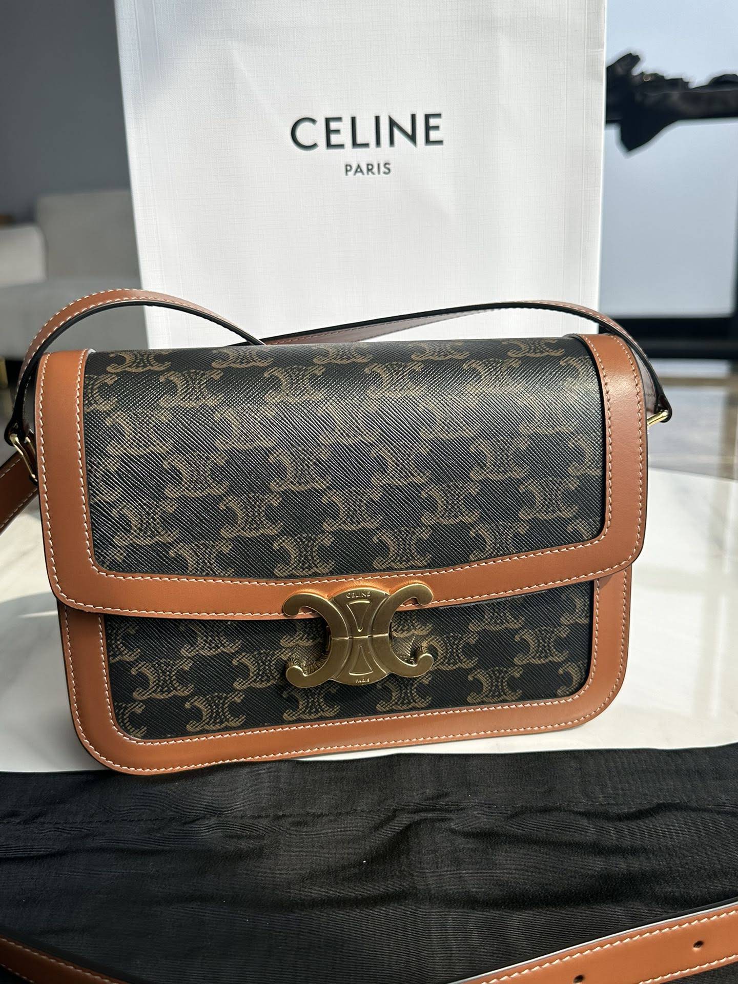 CELINE CLASSIQUE TRIOMPHE BAG IN TRIOMPHE CANVAS AND CALFSKIN