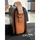 CELINE CLASSIQUE TRIOMPHE BAG IN TRIOMPHE CANVAS AND CALFSKIN