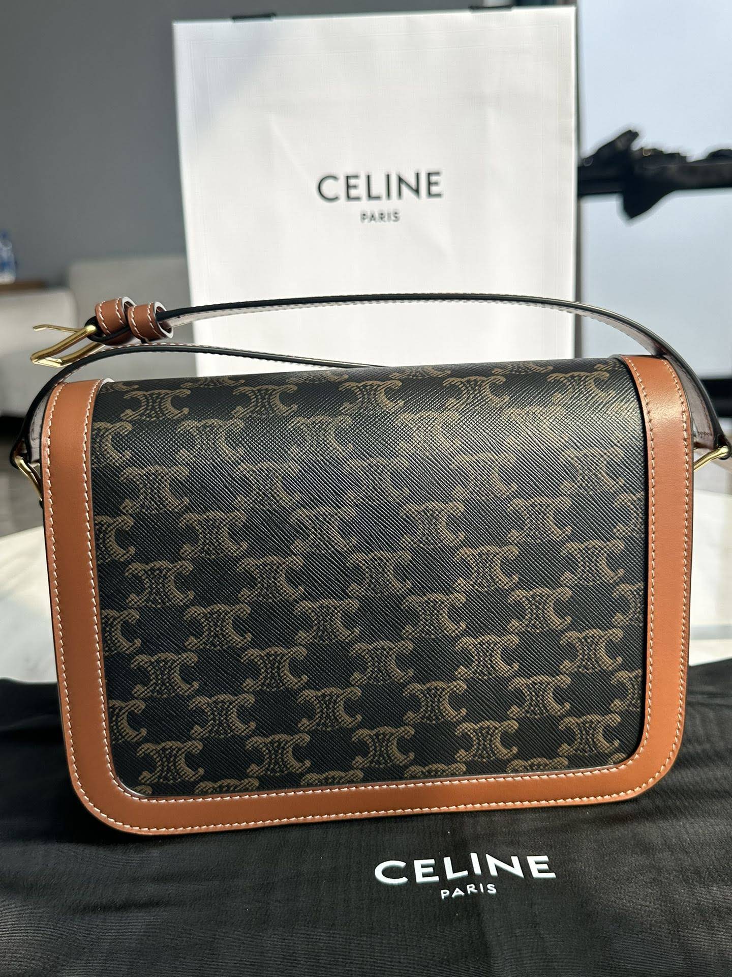 CELINE CLASSIQUE TRIOMPHE BAG IN TRIOMPHE CANVAS AND CALFSKIN