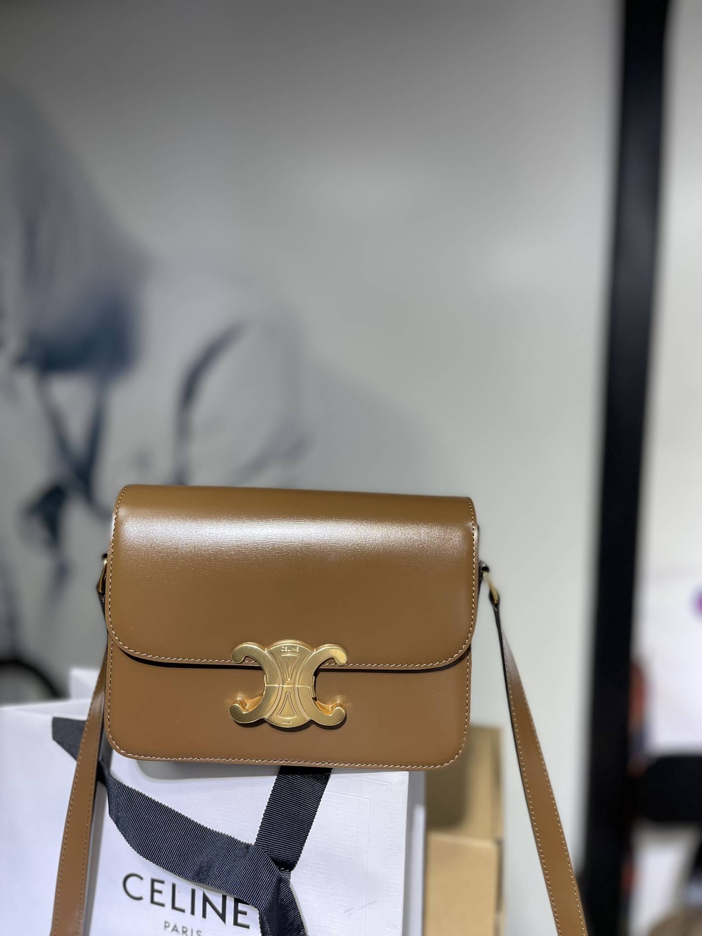 CELINE TEEN TRIOMPHE BAG IN SHINY CALFSKIN /DARK SEPIA