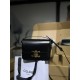 CELINE TEEN TRIOMPHE BAG IN SHINY CALFSKIN /BLACK