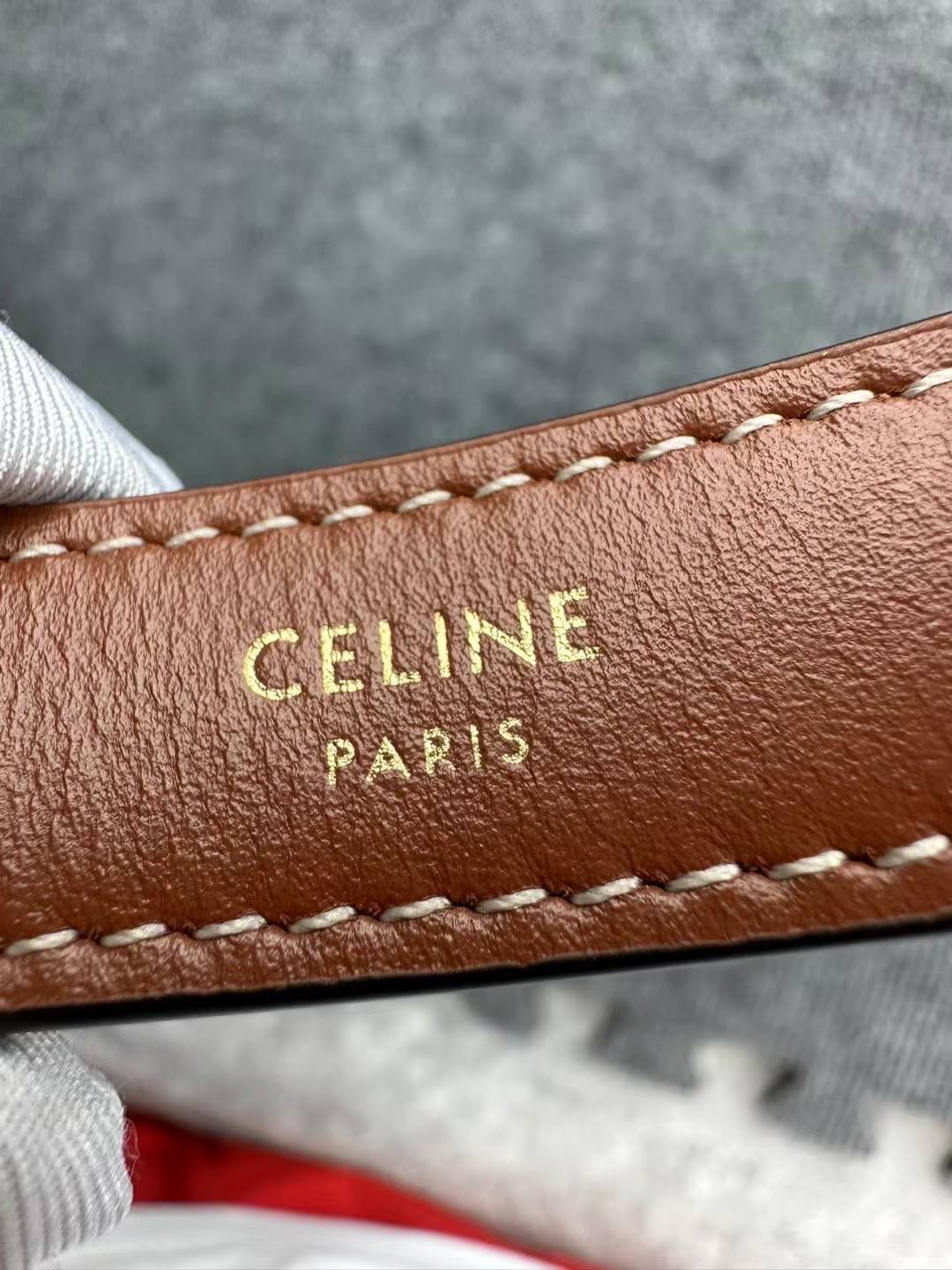 CELINE AVA BAG IN TRIOMPHE CANVAS AND CALFSKIN