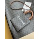 CELINE MINI VERTICAL CABAS IN TRIOMPHE CANVAS AND CALFSKIN WITH CELINE PRINT