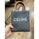 CELINE MINI VERTICAL CABAS IN TRIOMPHE CANVAS AND CALFSKIN WITH CELINE PRINT