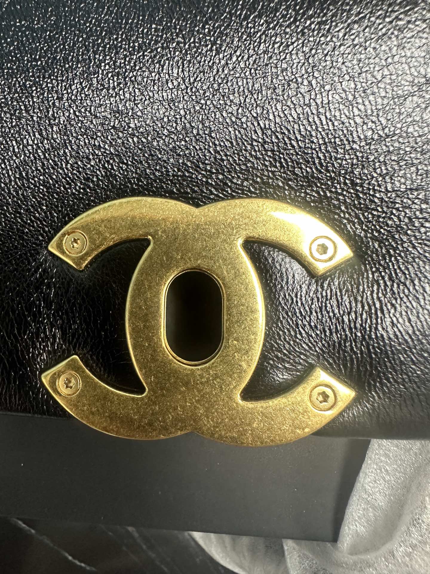  CHANEL 19 Handbag