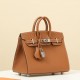 HERMES Birkin 20 Bag /CK37 Gold Brown / Silver Hardware / Epsom Leather  