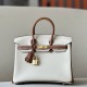 HERMES Birkin 25 Bag /CC10 Milkshake White / CK37 Gold Brown with Gold Hardware Togo Leather  