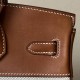 HERMES Birkin 25 Bag /CK37 Gold Brown with Gold Hardware Canvas and Saddle Leather  