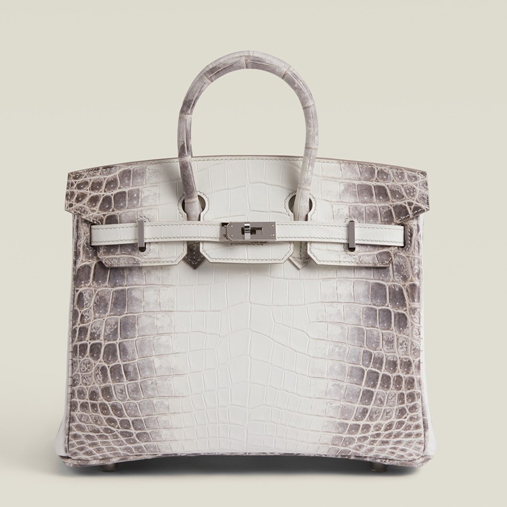 HERMES Birkin 25 Bag In Himalaya Niloticus Crocodile Skin