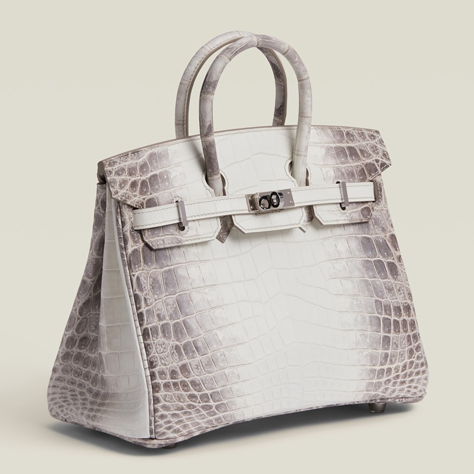 HERMES Birkin 25 Bag In Himalaya Niloticus Crocodile Skin