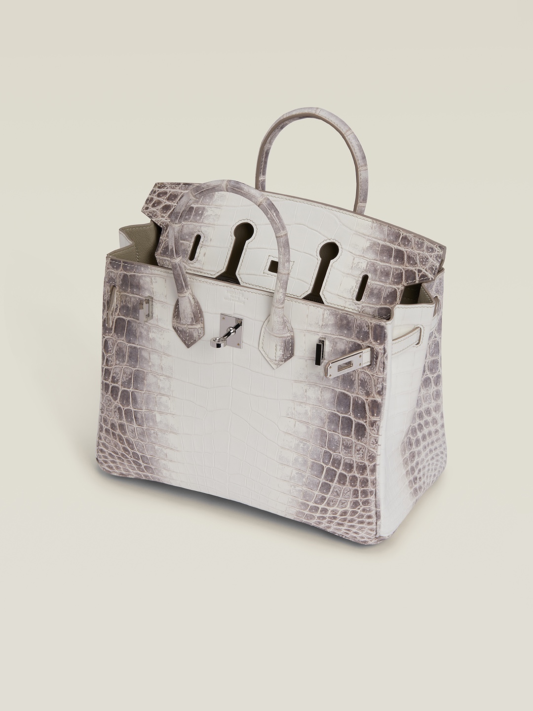 HERMES Birkin 25 Bag In Himalaya Niloticus Crocodile Skin