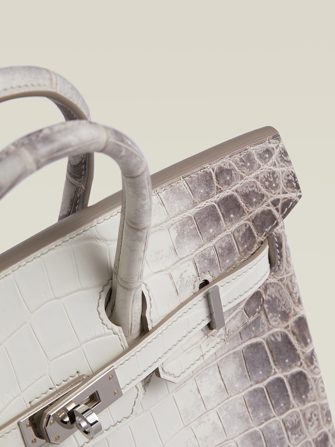 HERMES Birkin 25 Bag In Himalaya Niloticus Crocodile Skin