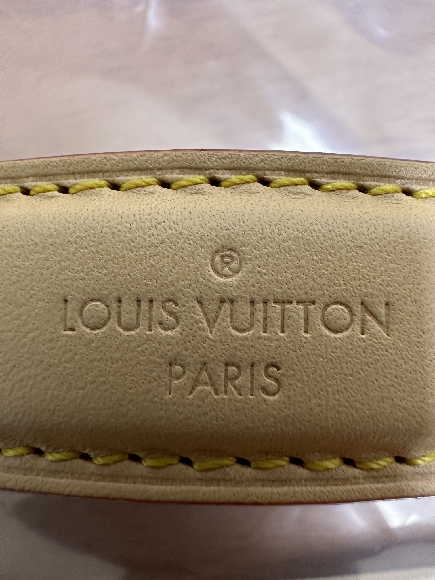 LOUIS VUITTON NéoNoé BB Bag