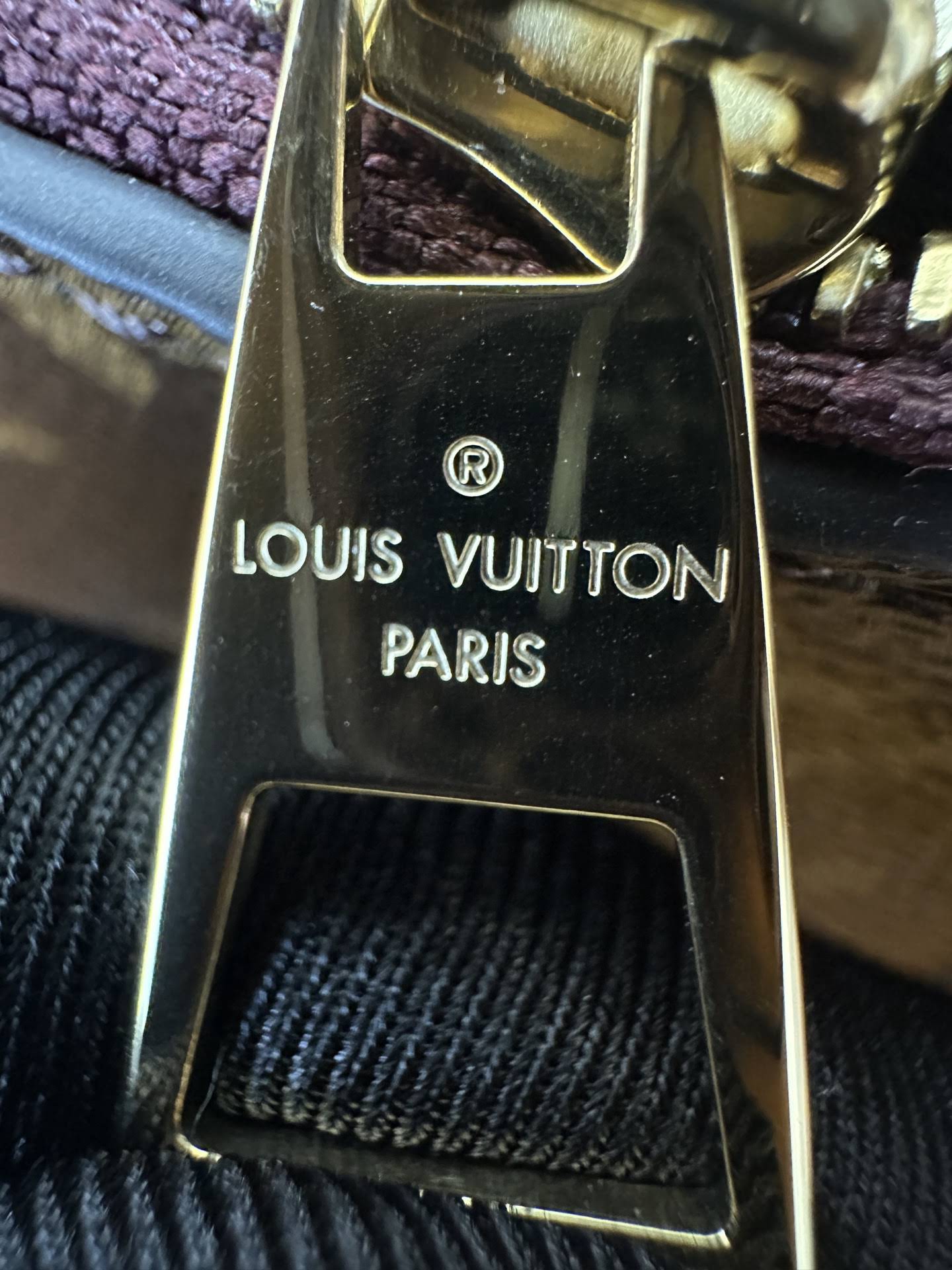 LOUIS VUITTON CarryAll PM Bag