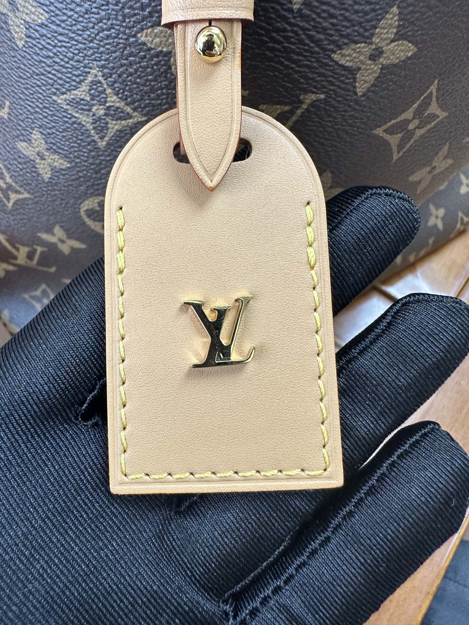 LOUIS VUITTON CarryAll PM Bag