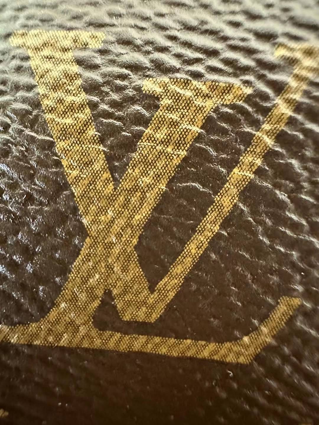 LOUIS VUITTON CarryAll PM Bag