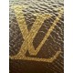 LOUIS VUITTON CarryAll PM Bag