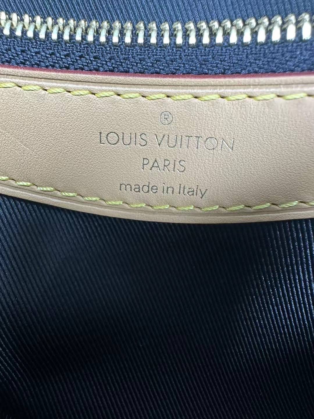 LOUIS VUITTON The Diane satchel bag