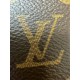 LOUIS VUITTON The Diane satchel bag