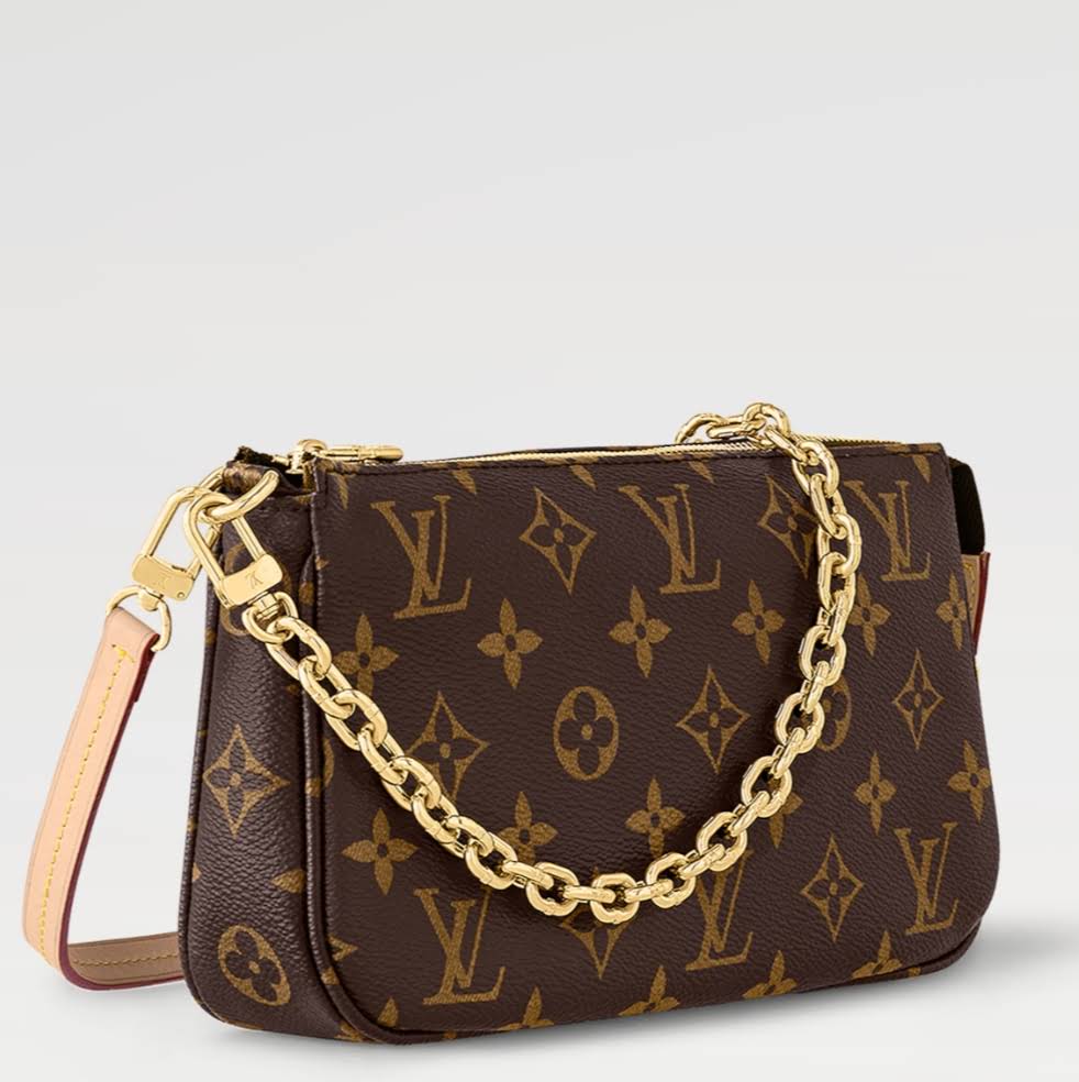 LOUIS VUITTON The Pochette Accessoires bag