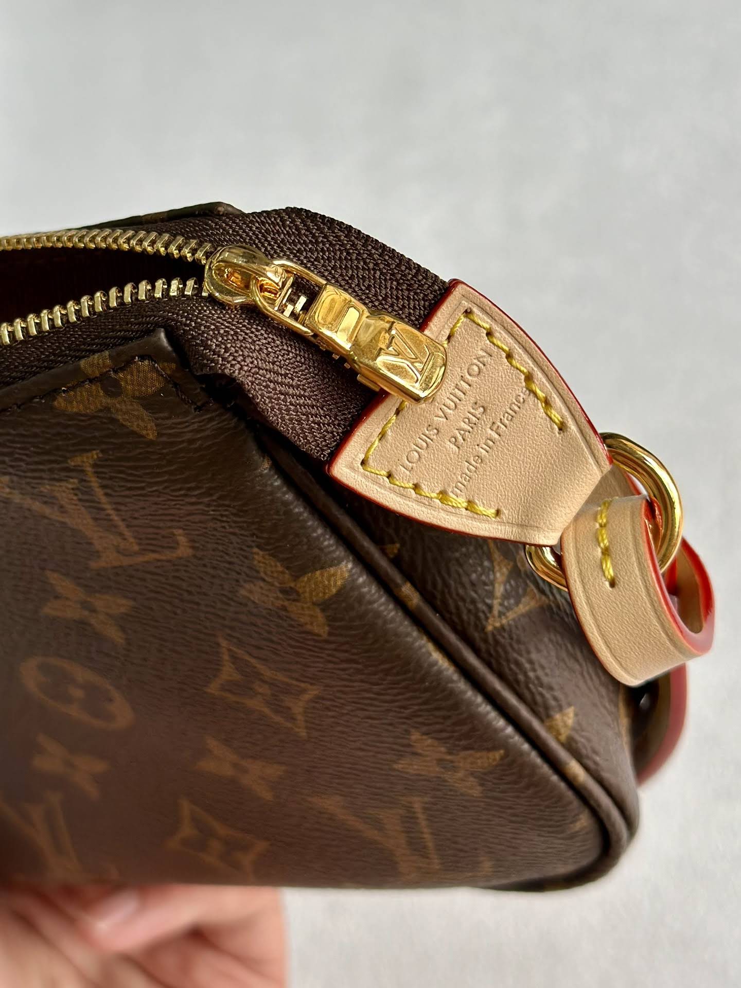 LOUIS VUITTON The Pochette Accessoires bag