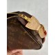 LOUIS VUITTON The Pochette Accessoires bag