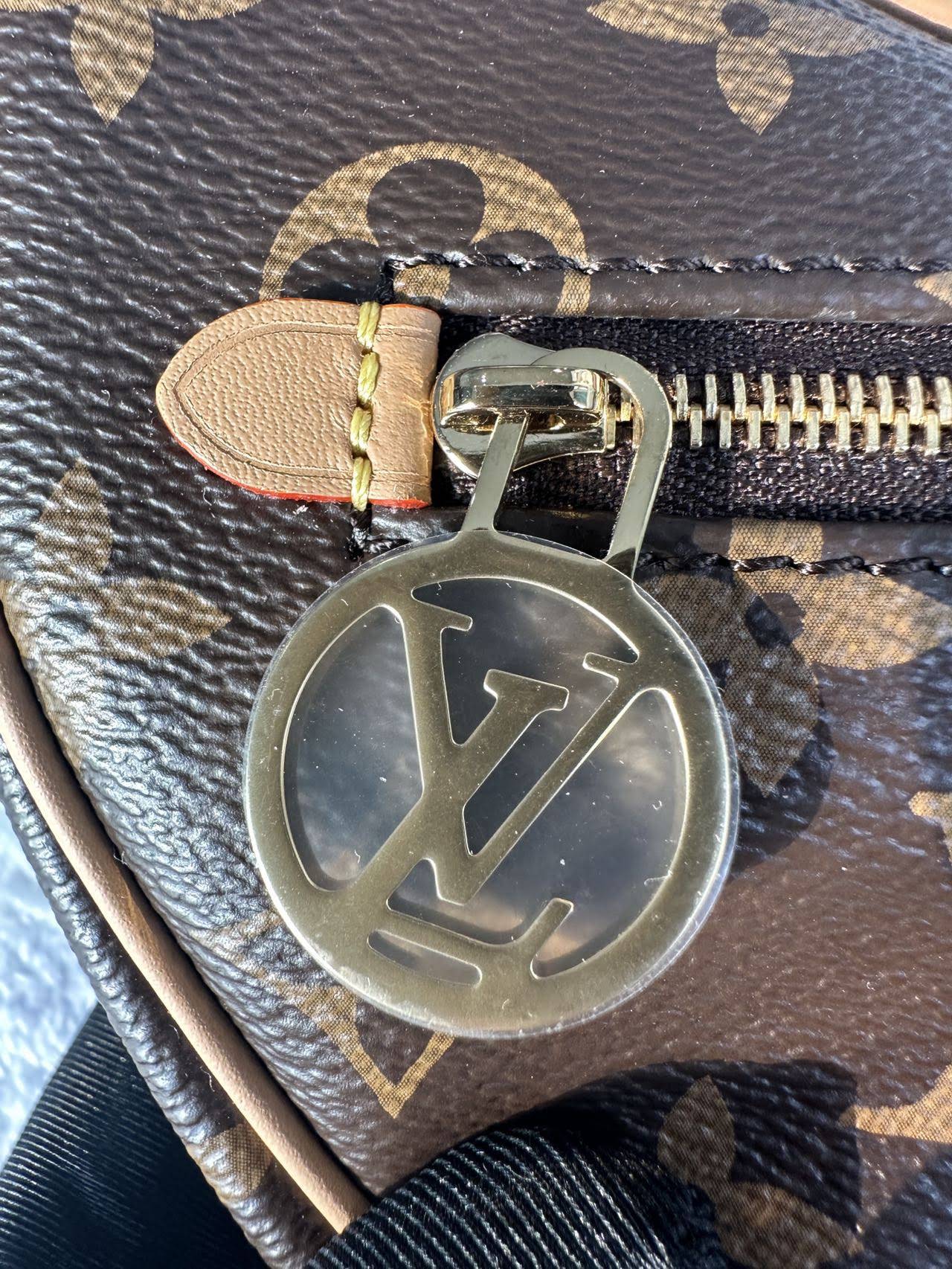 LOUIS VUITTON The Loop bag