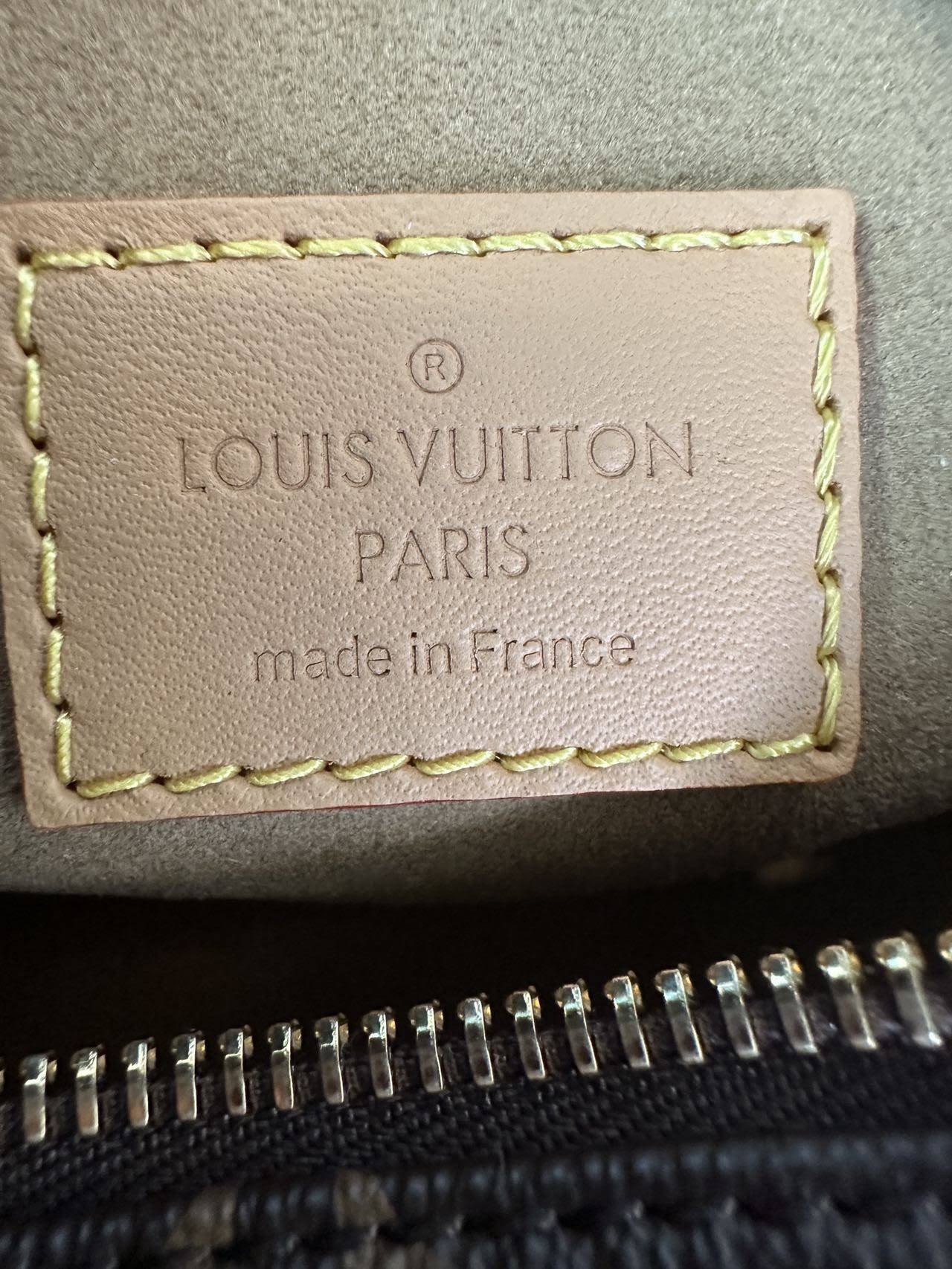 LOUIS VUITTON The Loop bag