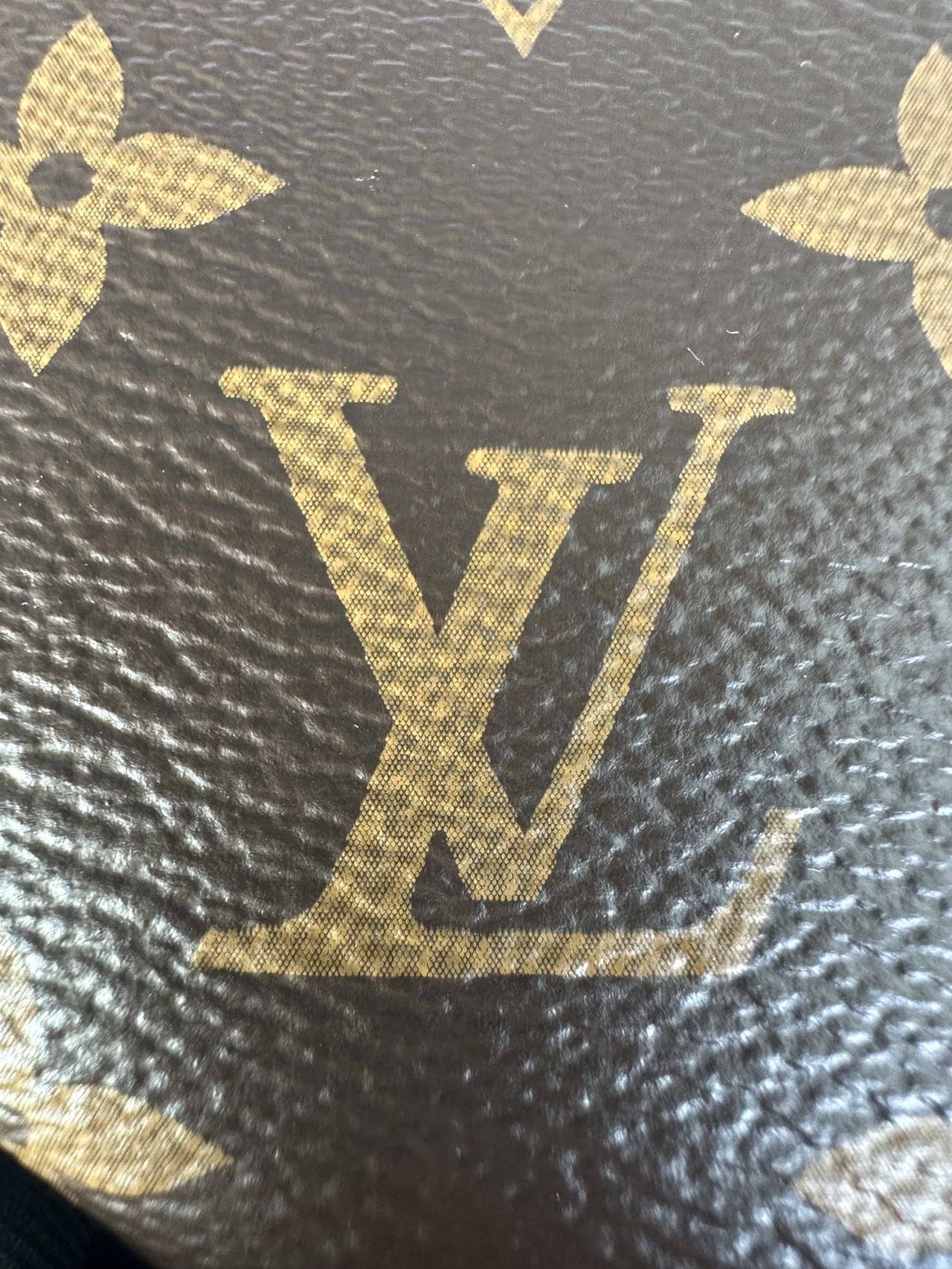 LOUIS VUITTON The Loop bag