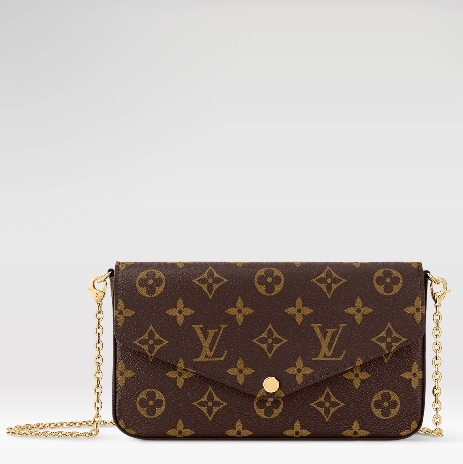 LOUIS VUITTON The Pochette Félicie Bag