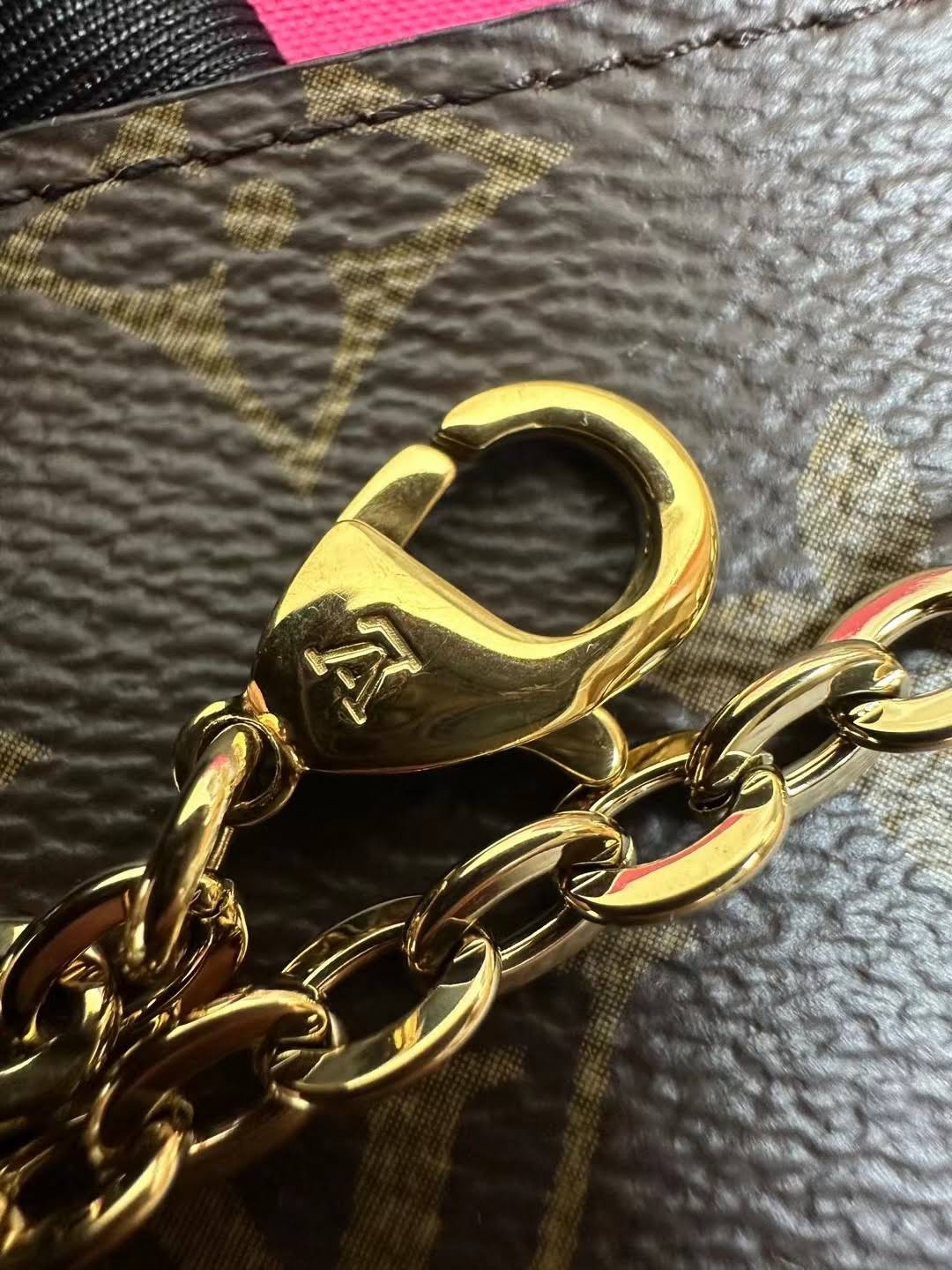 LOUIS VUITTON The Pochette Félicie Bag