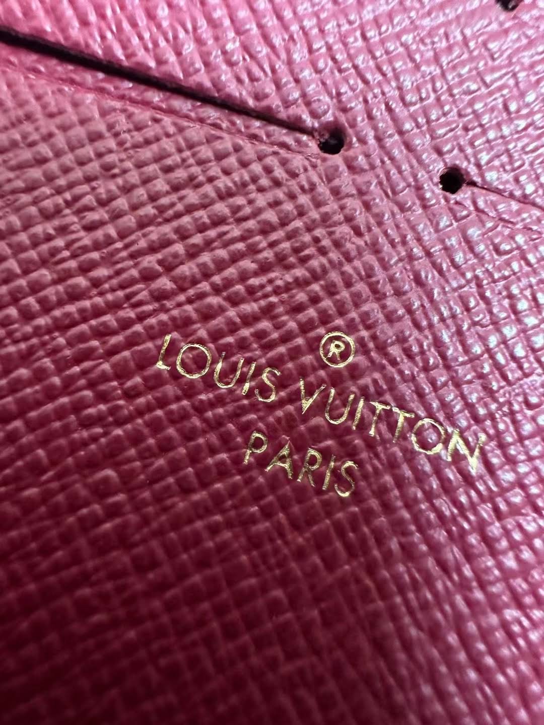 LOUIS VUITTON The Pochette Félicie Bag