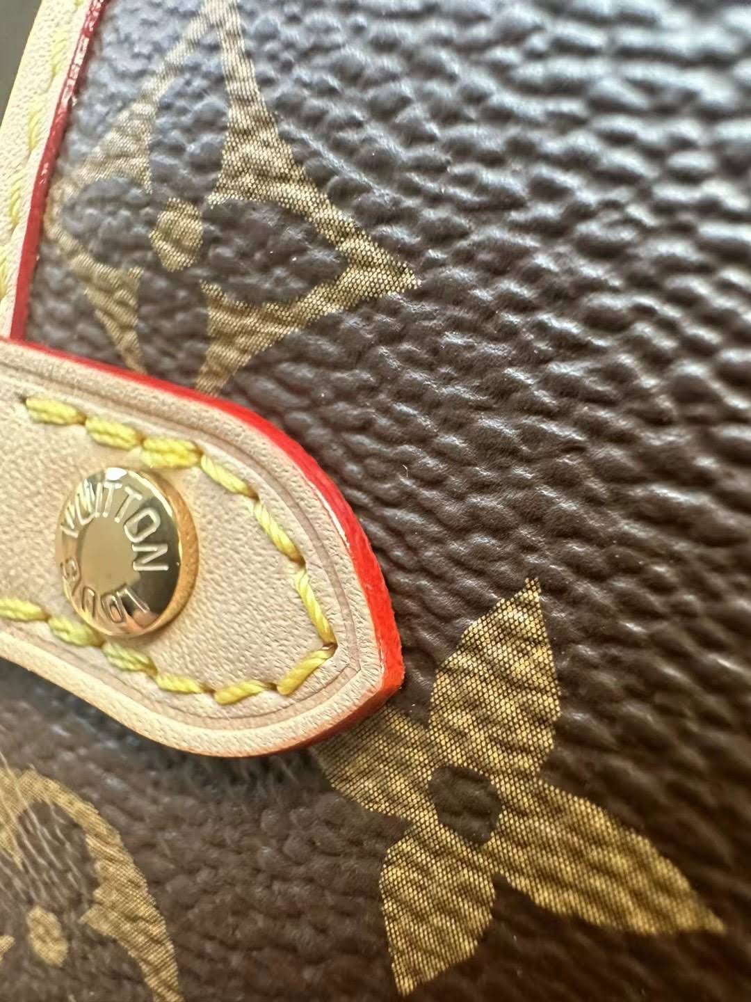 LOUIS VUITTON The Saumur BB Bag