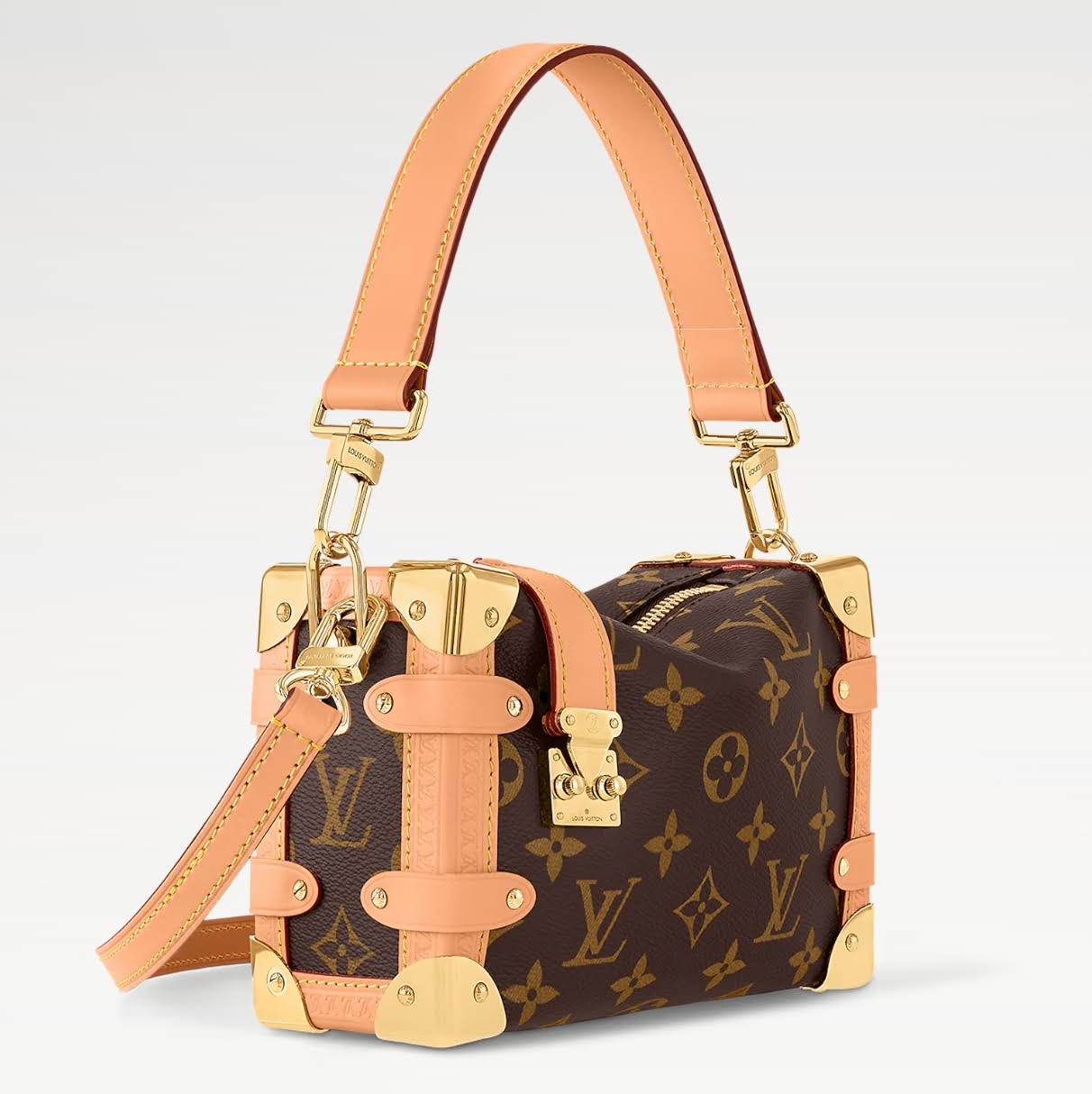 LOUIS VUITTON The Side Trunk PM Bag