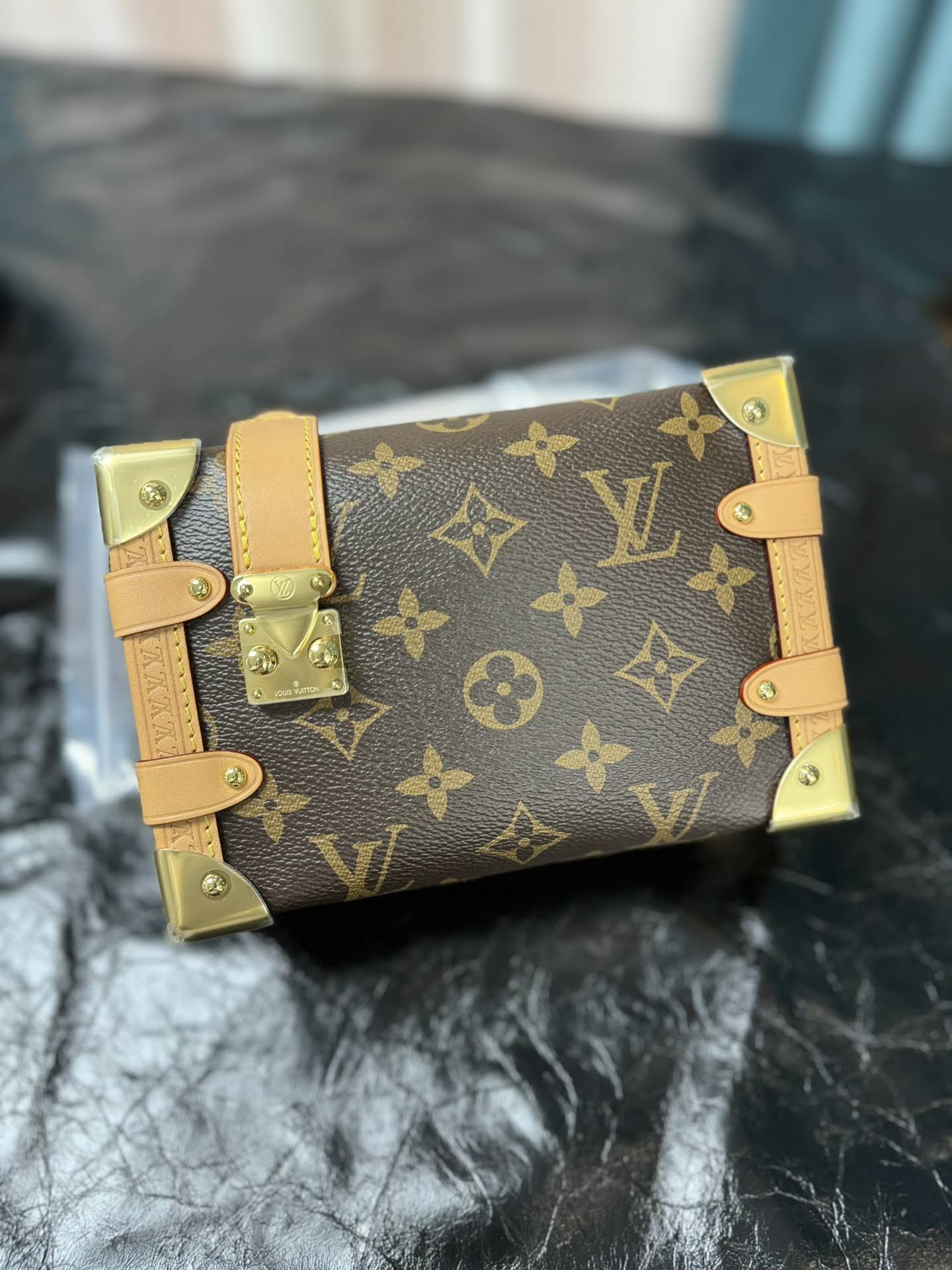 LOUIS VUITTON The Side Trunk PM Bag