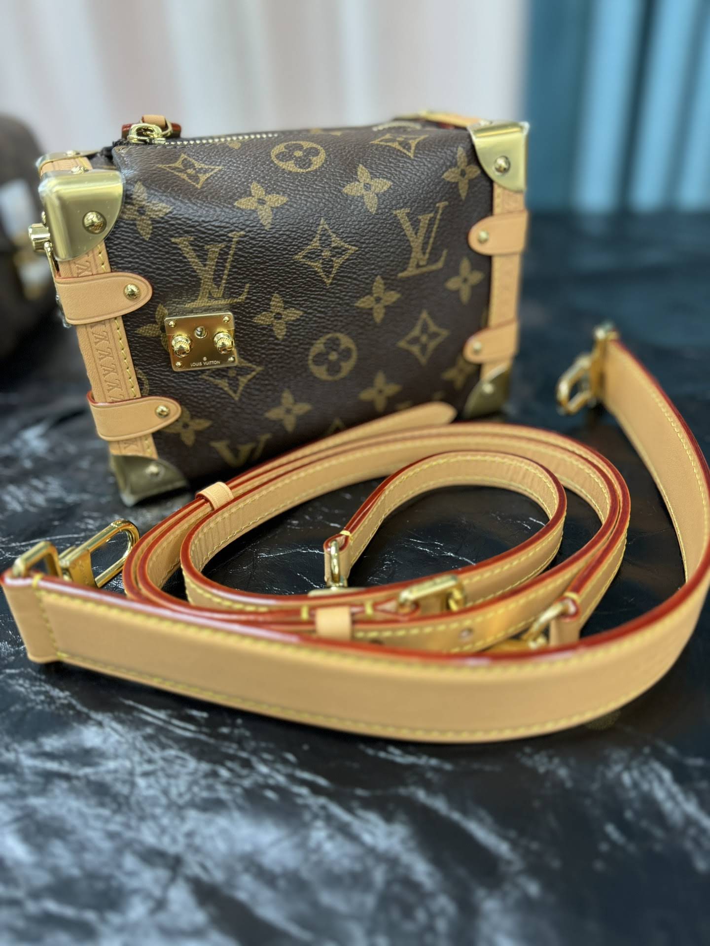 LOUIS VUITTON The Side Trunk PM Bag