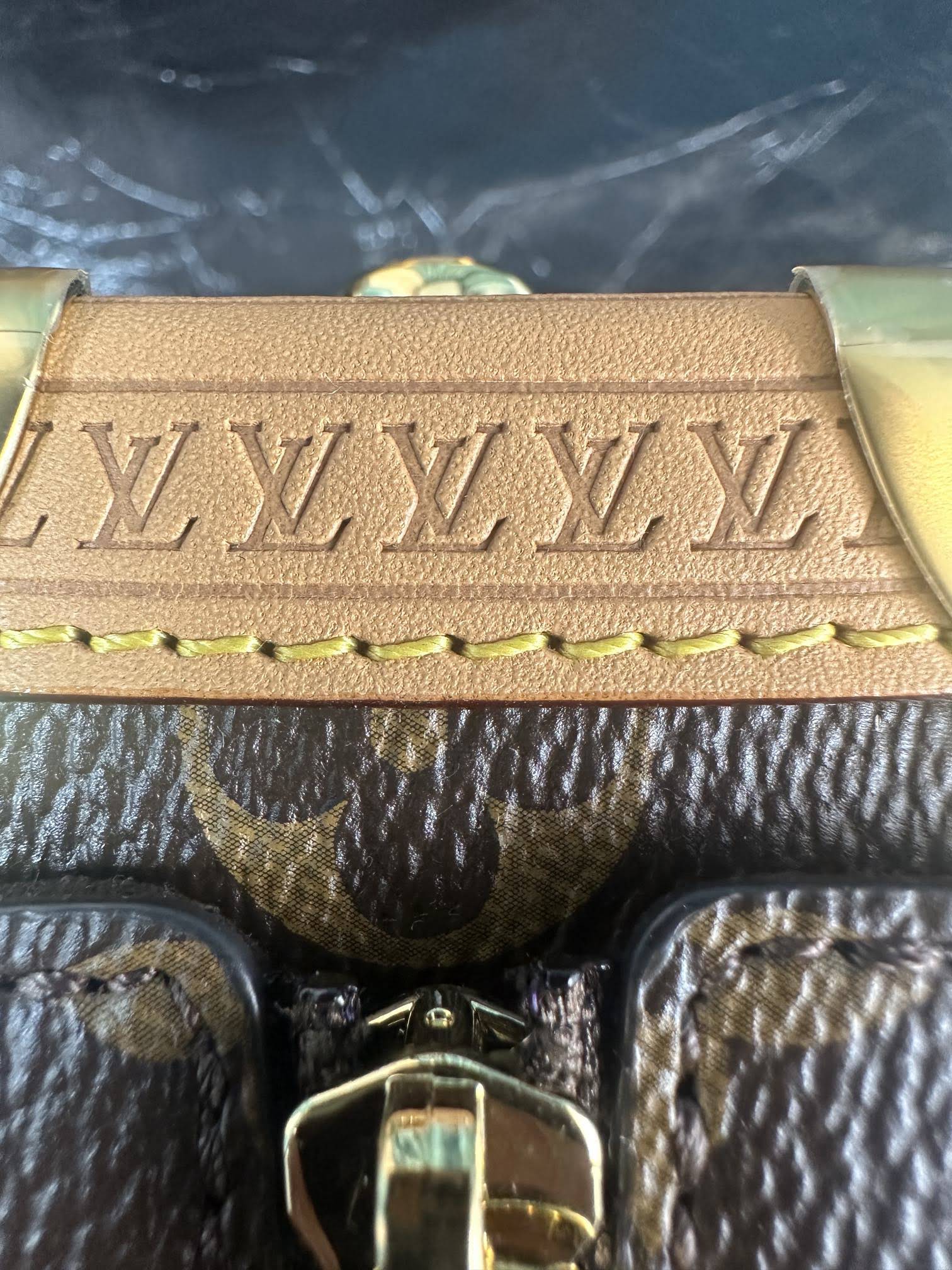 LOUIS VUITTON The Side Trunk PM Bag