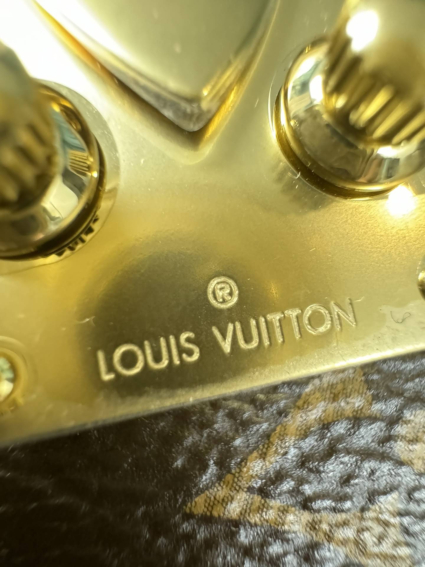 LOUIS VUITTON The Side Trunk PM Bag