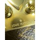 LOUIS VUITTON The Side Trunk PM Bag