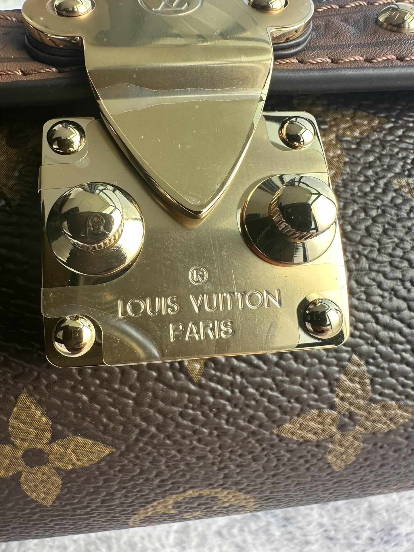 LOUIS VUITTON The Papillon Trunk