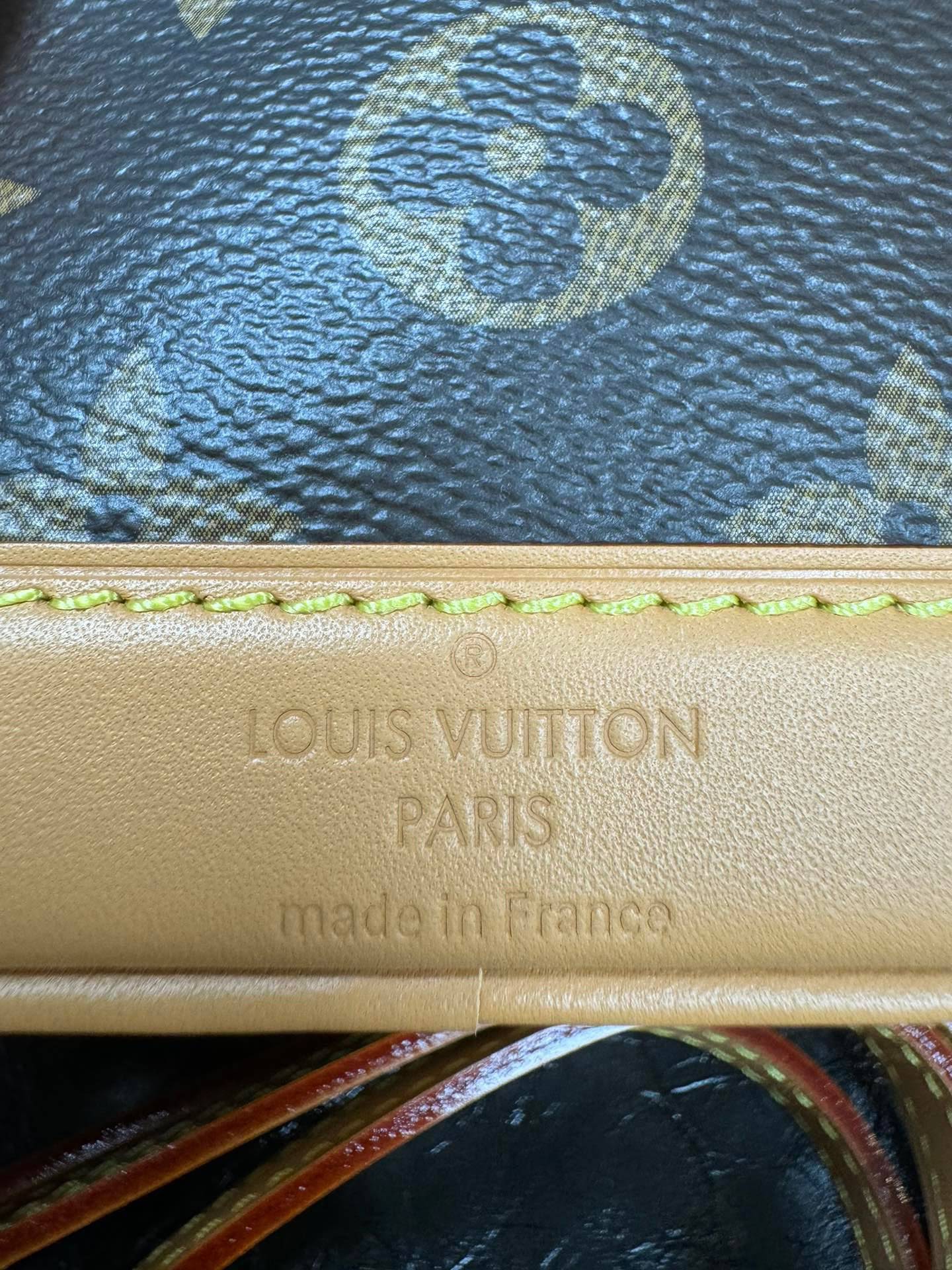 LOUIS VUITTON The Nano Noé Bag