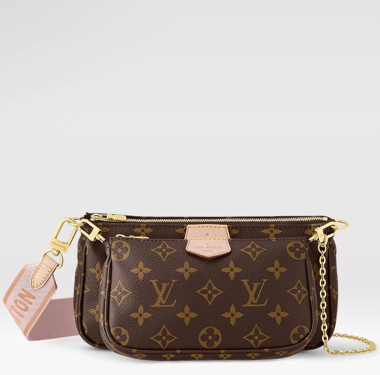 LOUIS VUITTON The Multi Pochette Accessoires Bag