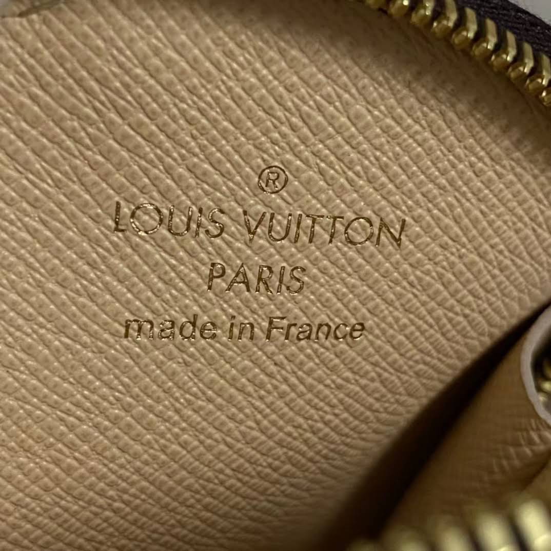 LOUIS VUITTON The Multi Pochette Accessoires Bag