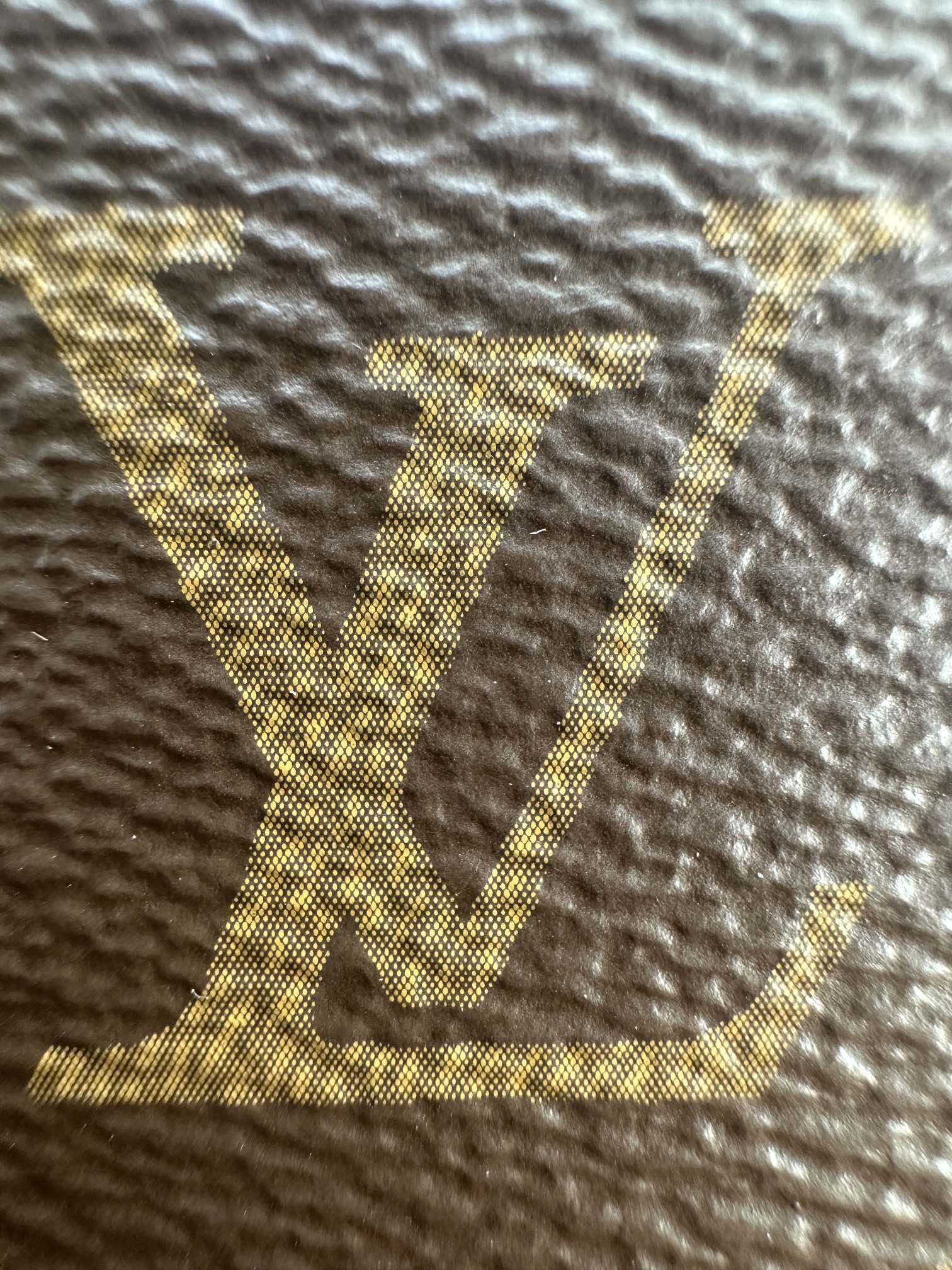 LOUIS VUITTON The CarryAll Vibe PM Bag 