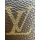 LOUIS VUITTON The CarryAll Vibe PM Bag 