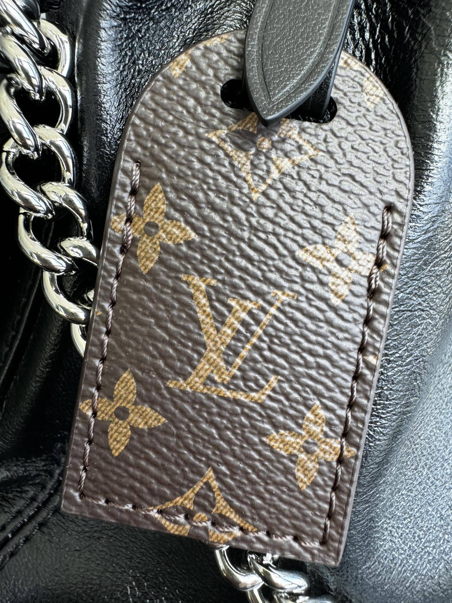 LOUIS VUITTON The CarryAll Vibe PM Bag 