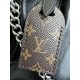 LOUIS VUITTON The CarryAll Vibe PM Bag 