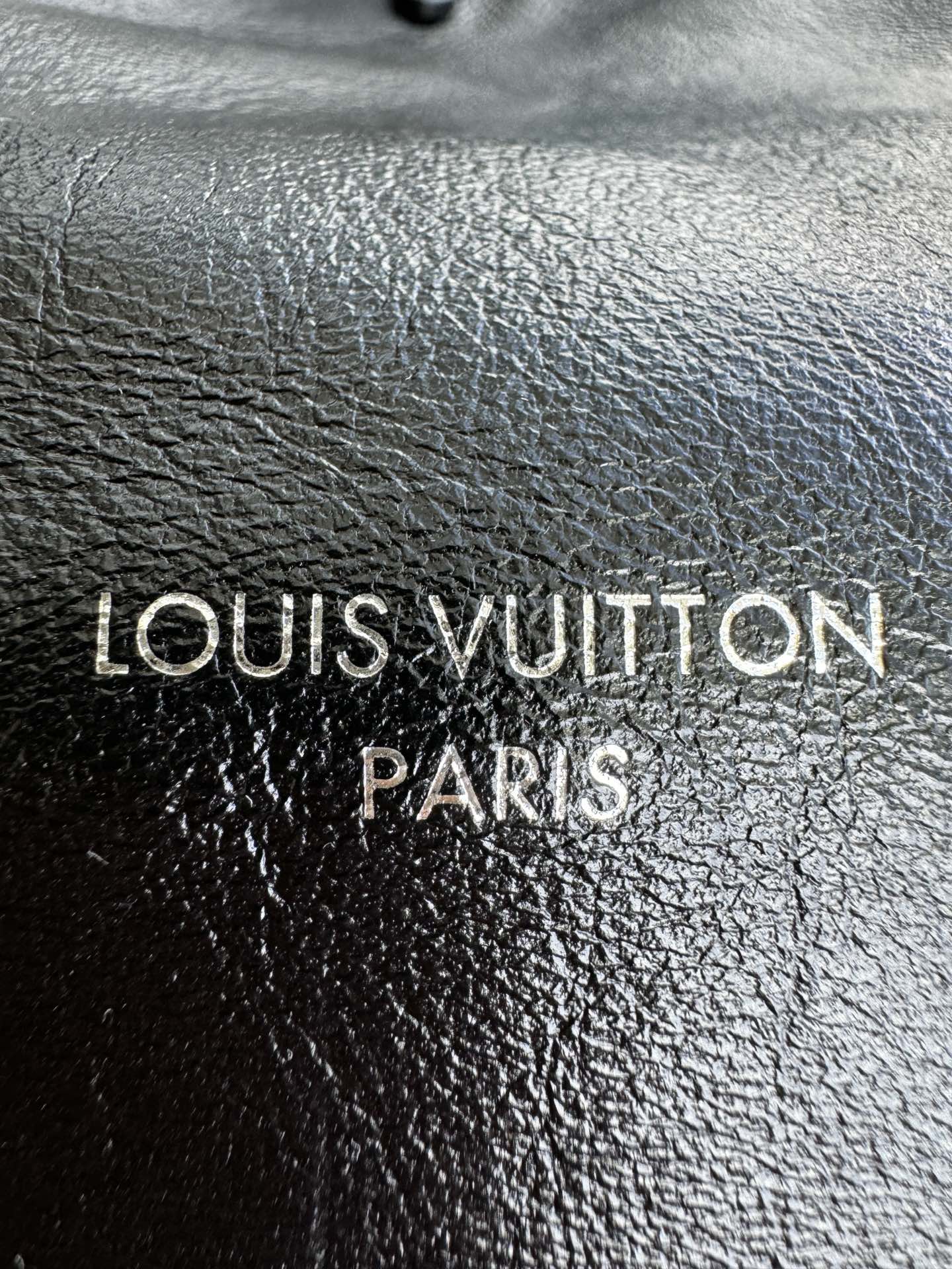 LOUIS VUITTON The CarryAll Vibe PM Bag 