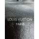 LOUIS VUITTON The CarryAll Vibe PM Bag 